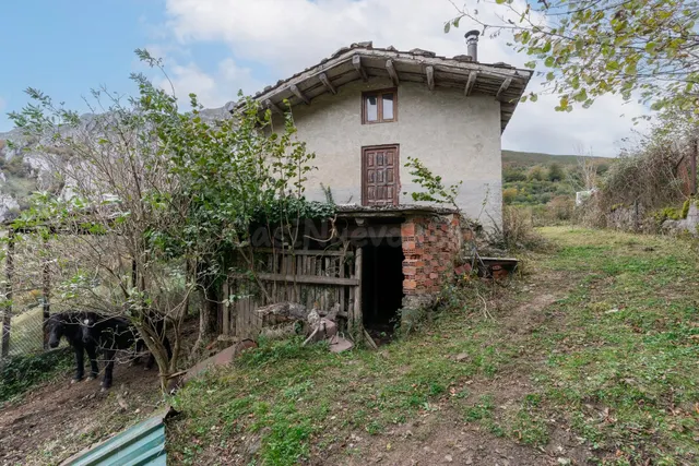 TERRENO Y CABAÑA EN VENTA EN PELUGANO ( PEÑAMEA LAVIANA) - foto 2