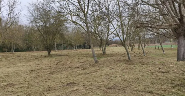 Terreno urbano 5200m² en venta - Área de Tona - foto 2