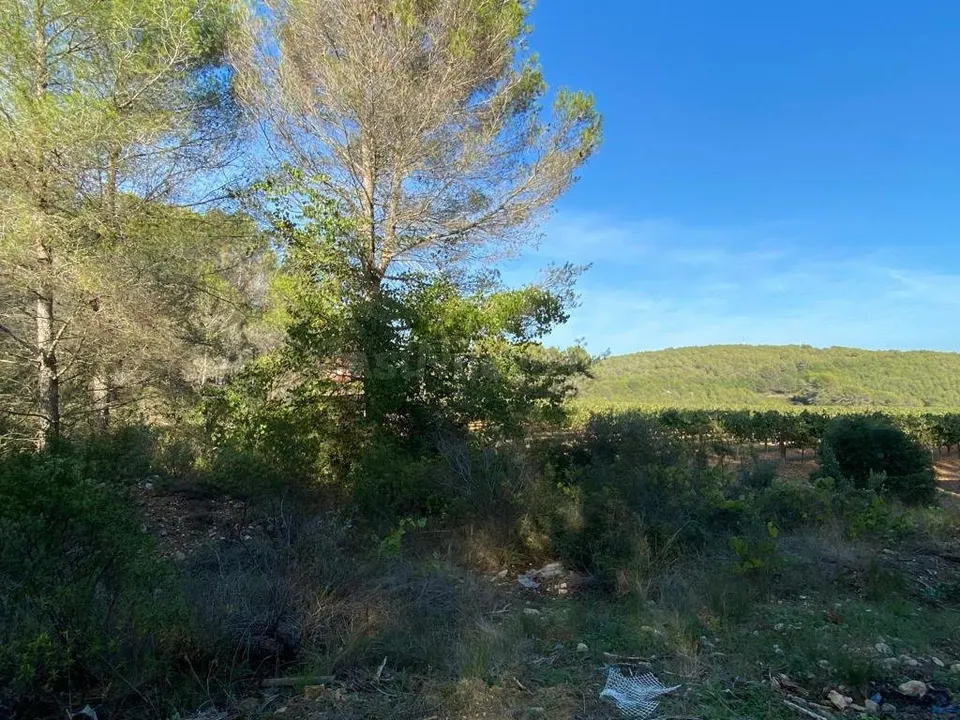 OPORTUNIDAD ENORME TERRENO EN VENTA POR 150.000€