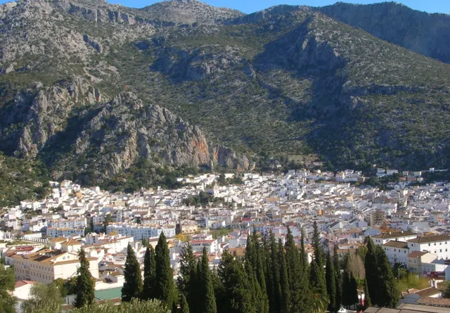SOLAR - ZONA AYUNTAMIENTO