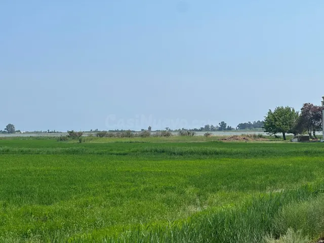 Oportunidad: Finca Rústica - Arrozal