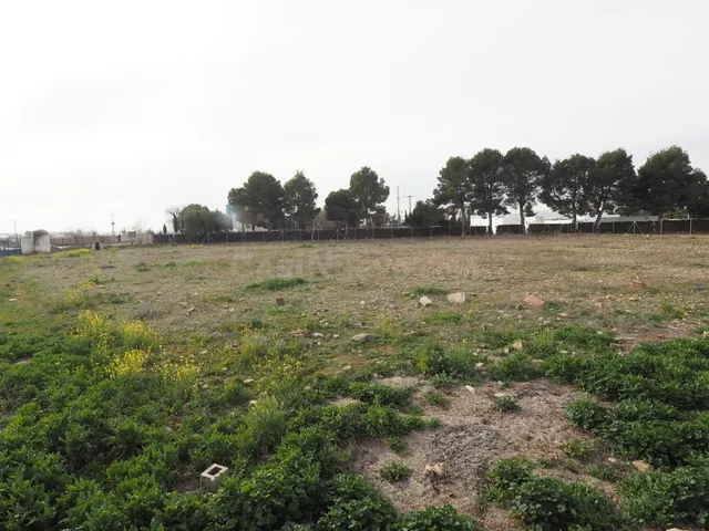 Se vende parcela de terreno rustico en la carretera de Argam - foto 2