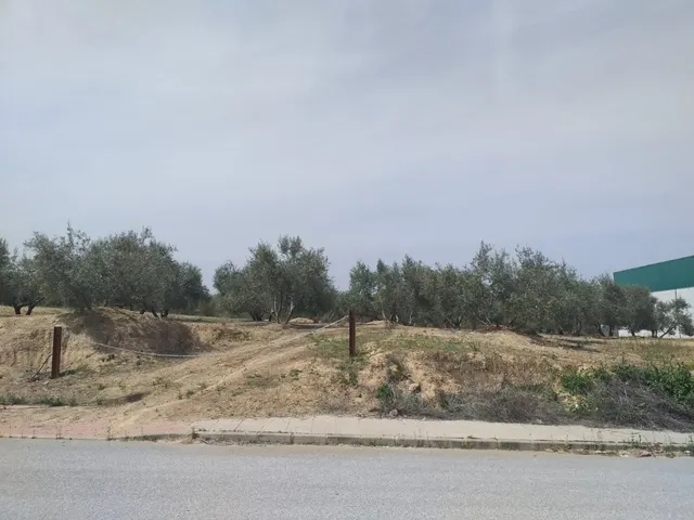 PARCELAS DE USO INDUSTRIAL  UBICADAS EN EL PP-3-I DE LACHAR — 7