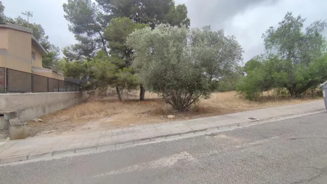 LA MEJOR PARCELA DE ALTORREAL - foto 5