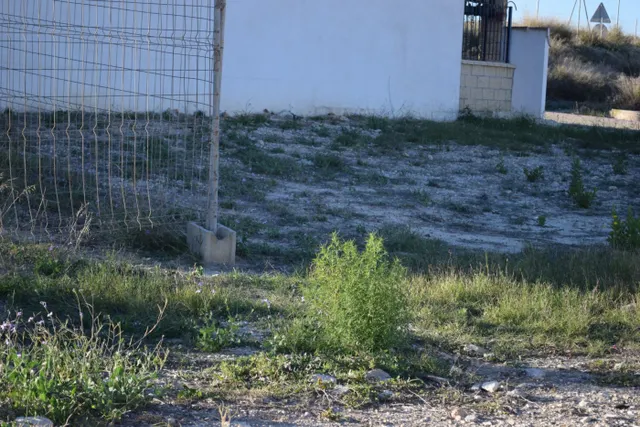 !!OPORTUNIDAD¡¡ TERRENO URBANO (FUENTE LIBRILLA) — 3
