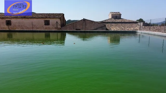 EN VENTA FINCA DE VIÑEDOS EN COFRENTES DE 209 HECTAREAS — 17