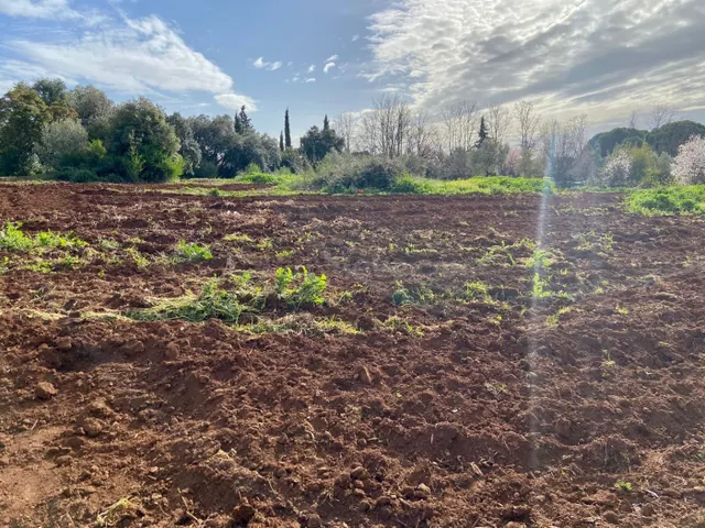 ZONA CTRA. ERMITAS - REGALA TRACTOR - Parcela de terreno de 