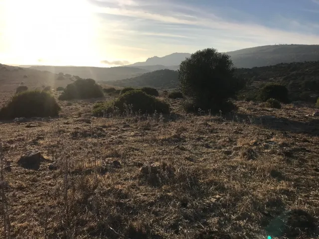 Se vende parcela en Bolonia — 4