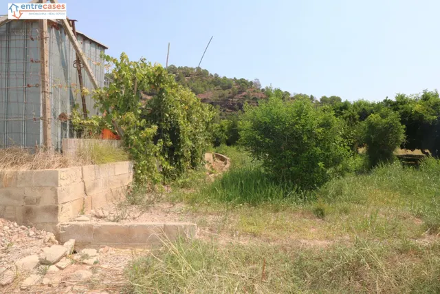TERRENO DE 2 HANEGADAS ENTRE PETRES Y ALBALAT TARONGERS — 10