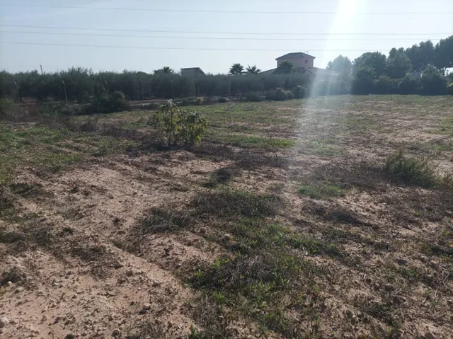 SE VENDE TERRENO RÚSTICO AGRICOLA PARA CONSTRUIR NUEVO CHALET — 20