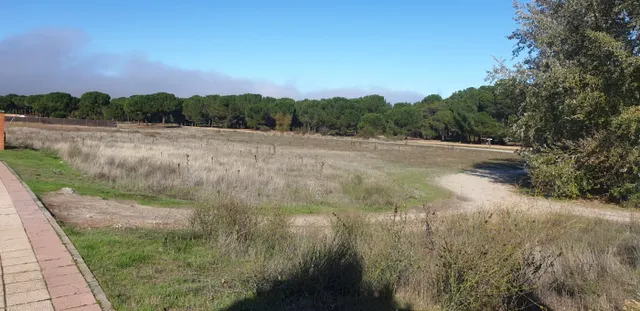 Urbis te ofrece parcelas urbanas en Aldeamayor de San Martín, Valladolid. — 20