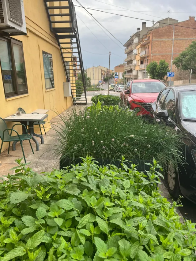 Edificio singular con hostal en funcionamiento, restaurante, bar con terraza y vivienda privada en el centro de Tremp — 15