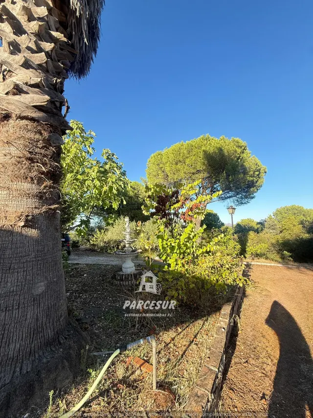 Finca de 2,5 hectáreas con piscina y casa en plena Sierra de Córdoba. HIPOTECABLE — 29