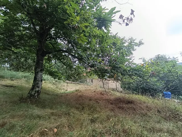 Finca rústica 40m² en venta - Northern spain — 11