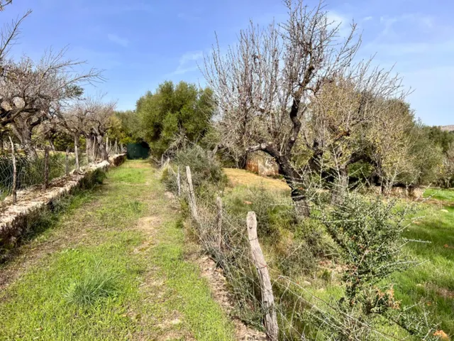 Finca rústica Campanet — 11