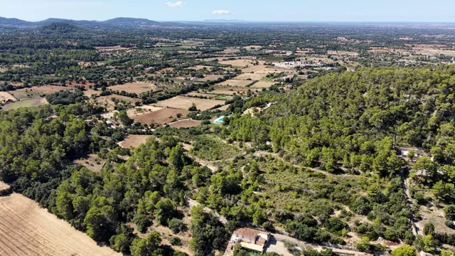 Terreno rústico de 10.000m2 en son quetlles, Felanitx — 10