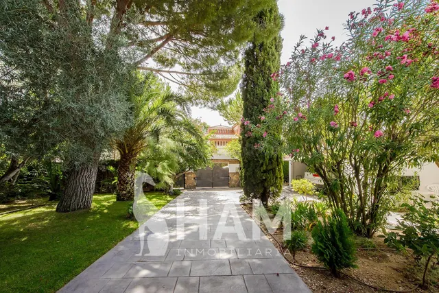Chalet independiente con casa de invitados en Olivar de Mira - foto 3