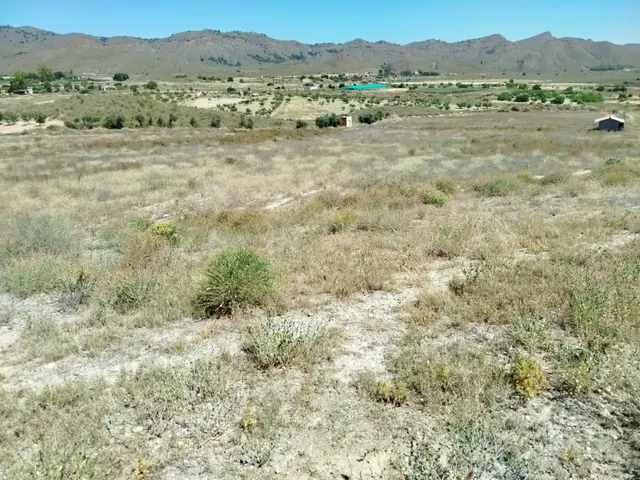 LA ATALAYA- MAZARRON TERRENO SECANO 23000 MTS - foto 4