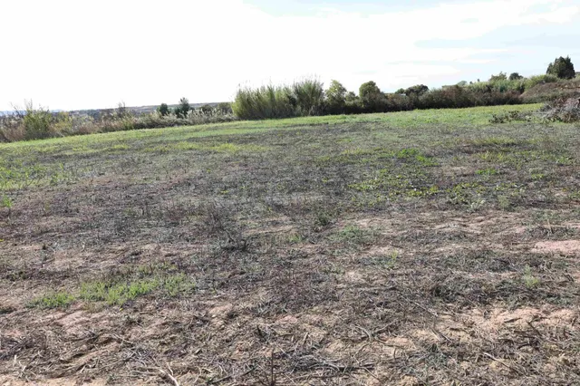 TERRENO EN VENTA EN ALCAÑIZ. Ref.TR10202025 - foto 4