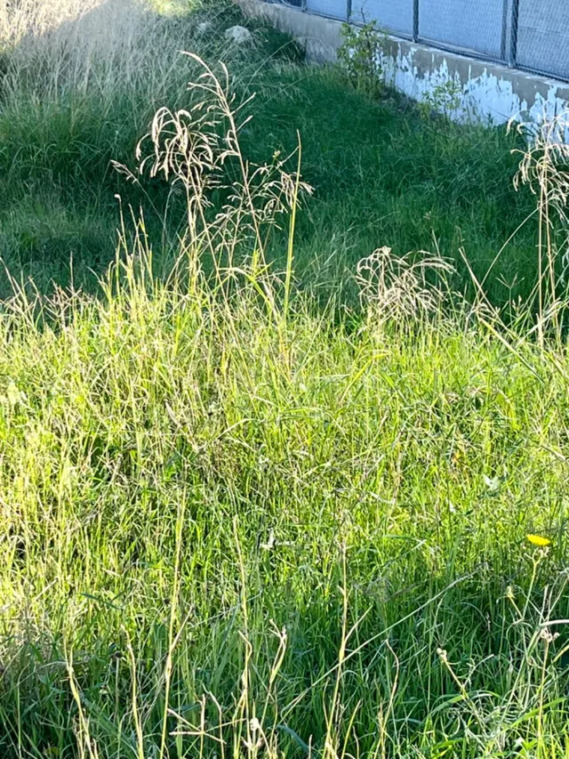 Tu terreno tan cerca de la ciudad... - foto 4