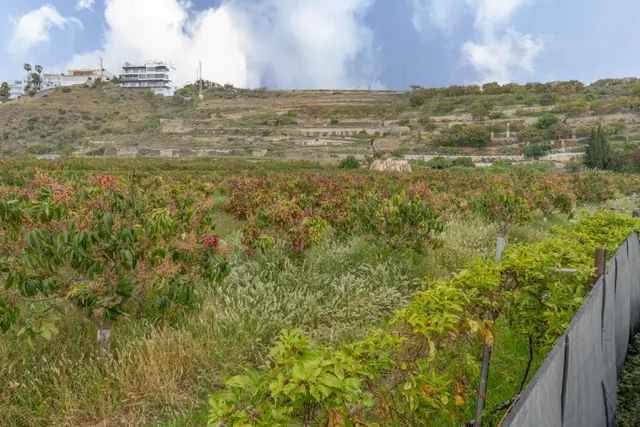 Finca con unas vistas de ensueño en Salobreña — 16