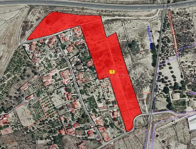 Excelente parcela rústica de más de 28.000 m2 en la Zona del - foto 3