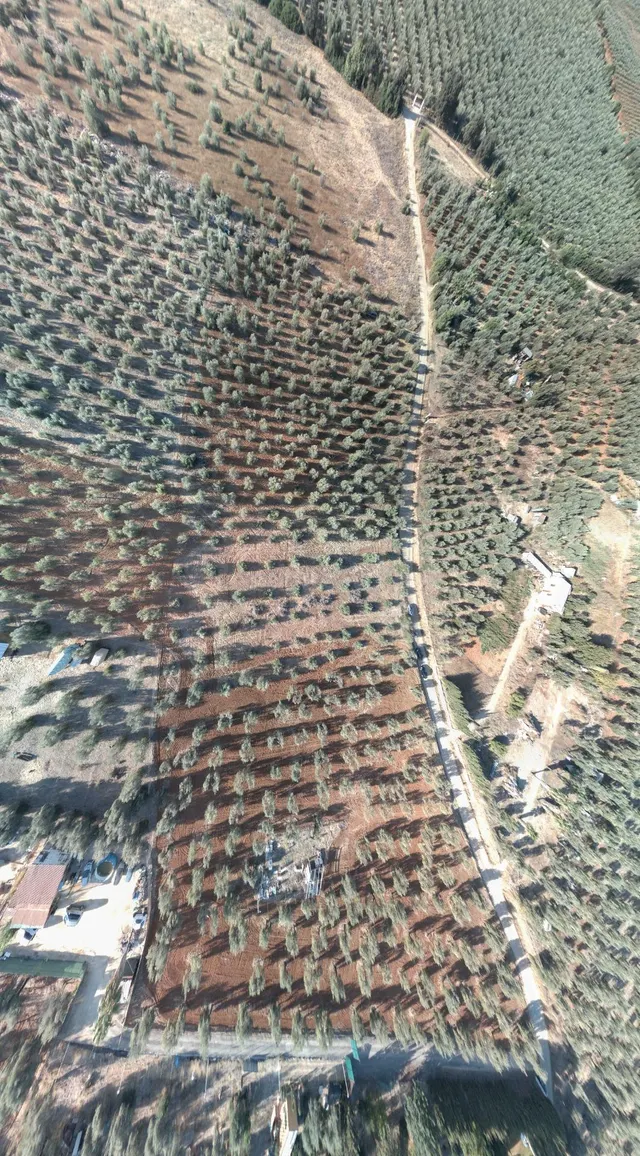 Finca rústica de 16.000 m2 junto a Almensilla. — 3