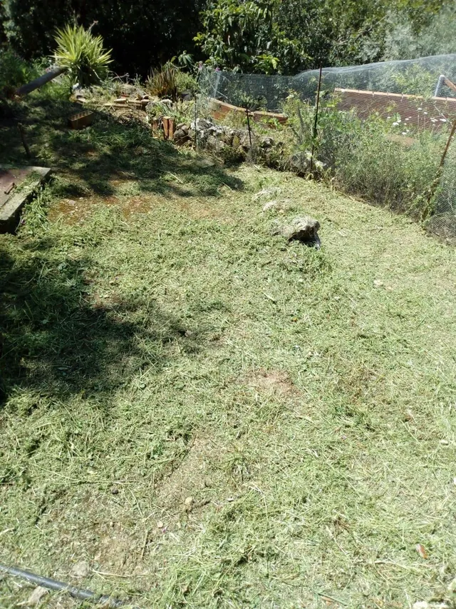 Finca rústica a la venta en Comares — 22