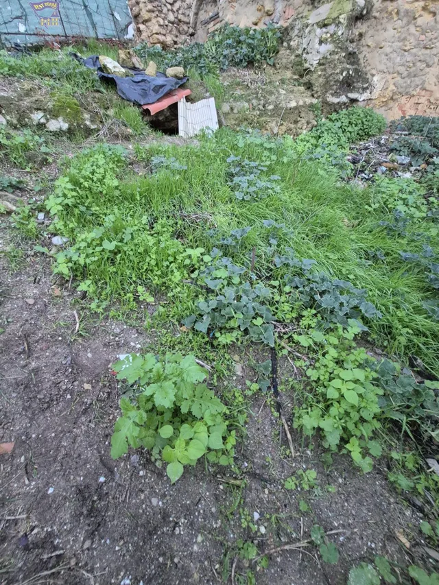SE VENDE SOLAR EN ZONA DEL CASCO ANTIGUO - foto 3
