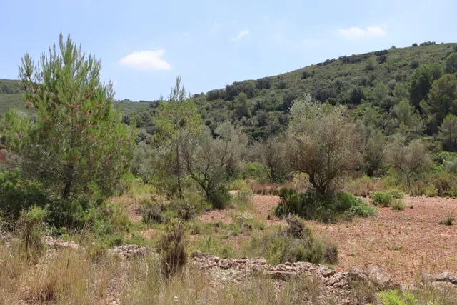 MASIA RUSTICA EN DOS HECTAREAS DE TERRENO ZONA POU DE BECA — 28