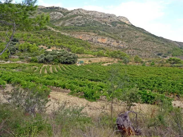 Bodega en venta en Jalon — 10