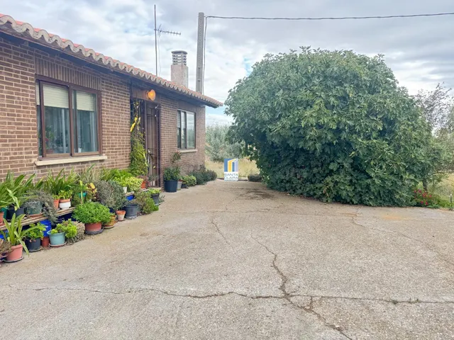 FINCA DE REGADÍO EN VENTA CON CASA EN ZONA CARRETERA DE CORE - foto 2