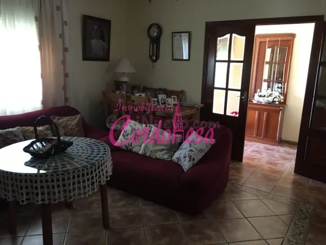 MAGNIFICO CASA CON TERRRENO EN ALCOLEA!! — 5