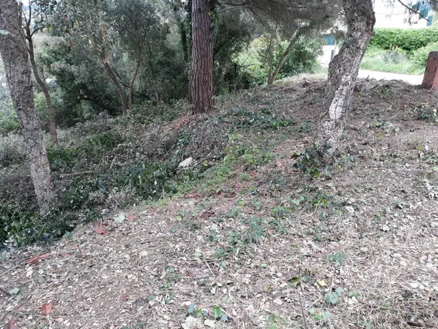 Terreno urbano de 1.194 m2 rodeado de zonas verdes en Lloret Residencial — 5