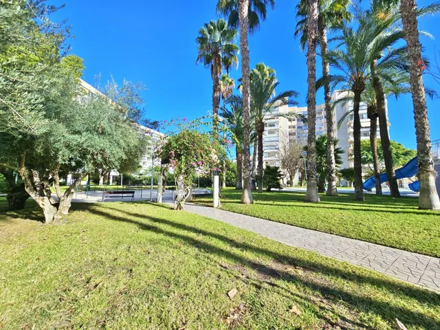 Vive la luz y el espacio en este amplio piso de Garden Playa! — 7