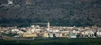 Terreno urbano en Palma de Gandia con una superficie total de 645 m2 — 4