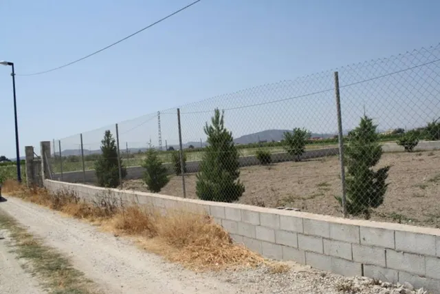 Parcela a las afueras de Orihuela — 9