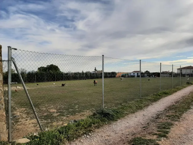 EL COLLADO, SIERRA DE FUENTES - foto 3