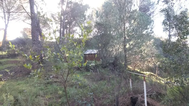 ¡¡Terreno Urbano!! EN LAS JARAS - foto 4