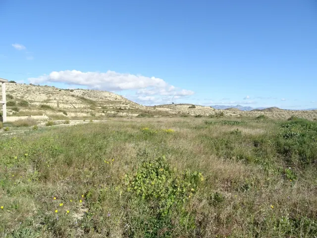 SE VENDE PARCELA DE 10000 M2 CON ESTRUCTURA PARA UN CHALET D - foto 5