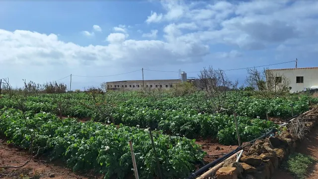 Se vende casa con finca con invernaderos en producción en Ta - foto 4