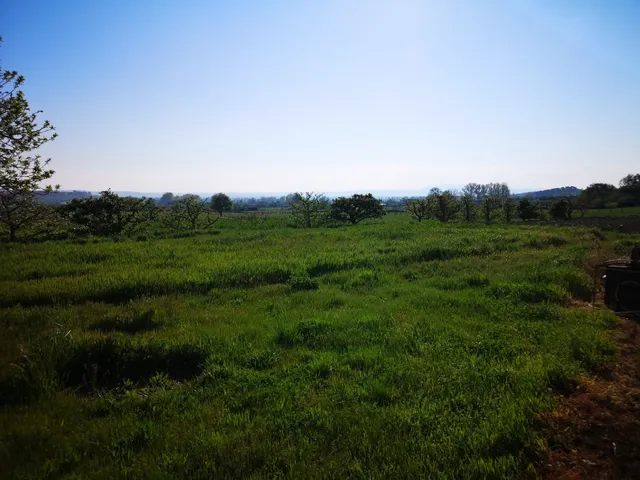 Urbis te ofrece un espectacular terreno con chalet en venta en Ciudad Rodrigo, Salamanca. — 49