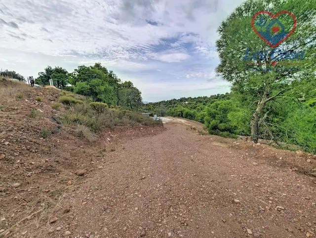 FINCA DE 10.400 M2 CON PISCINA EN SIERRA ESPUÑA — 120.000 € — 17