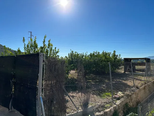 Parcela en la Huerta Abajo, el Planell, de 992 m2 hoy huerta - foto 4