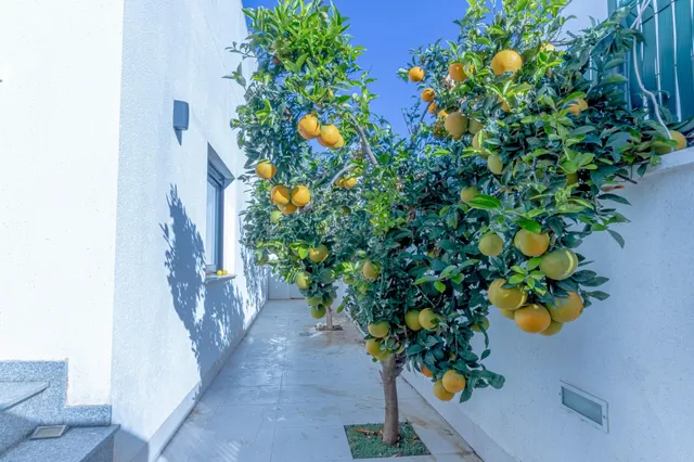 Se alquila villa en santiago de la ribera + piscina (san pedro de pinatar) — 23