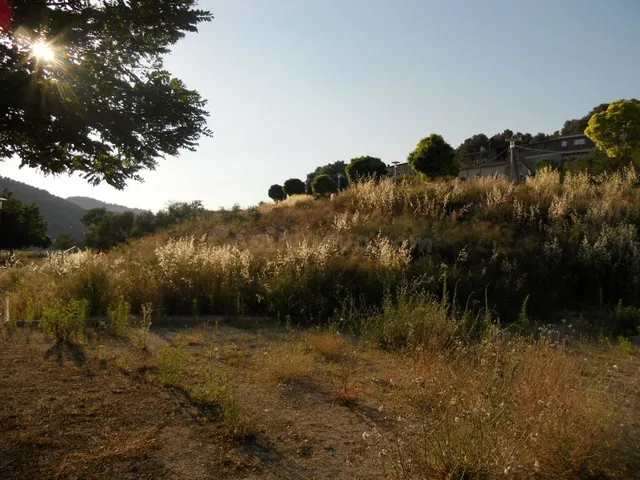 Solar en venta - Afueras - foto 4