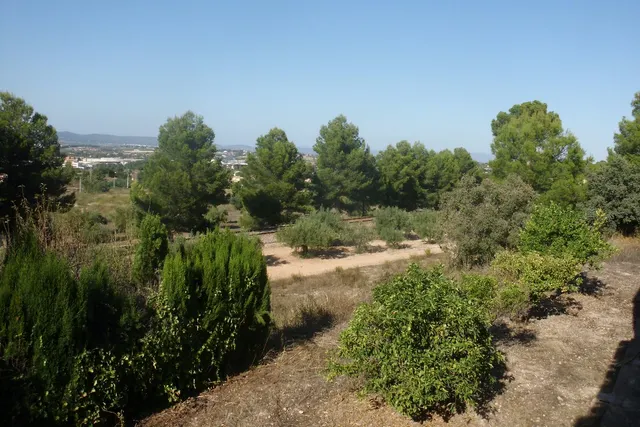Finca La Farola Ontinyent — 15