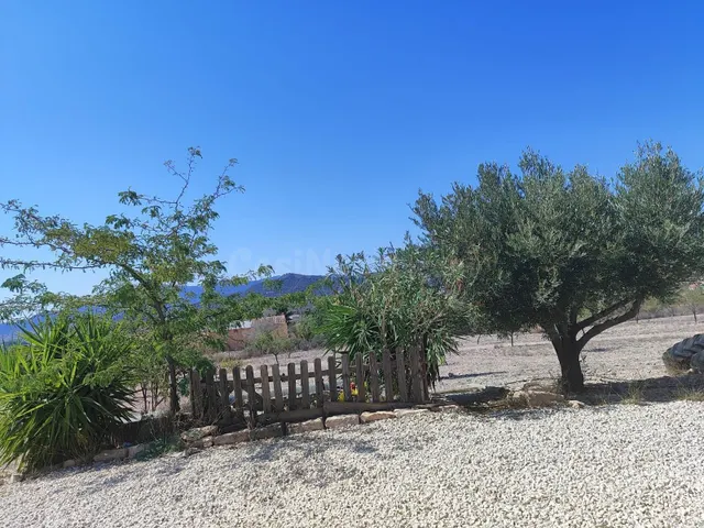 Se vende chalet /monovar / listo para vivir / arboles frutales — 9