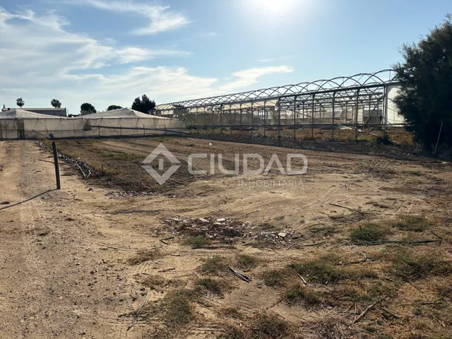 Terreno rural en venta - La Jara — 12