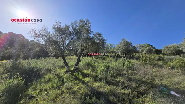 CHALET EN VENTA EN EL PUERTO CALATRAVEÑO — 21